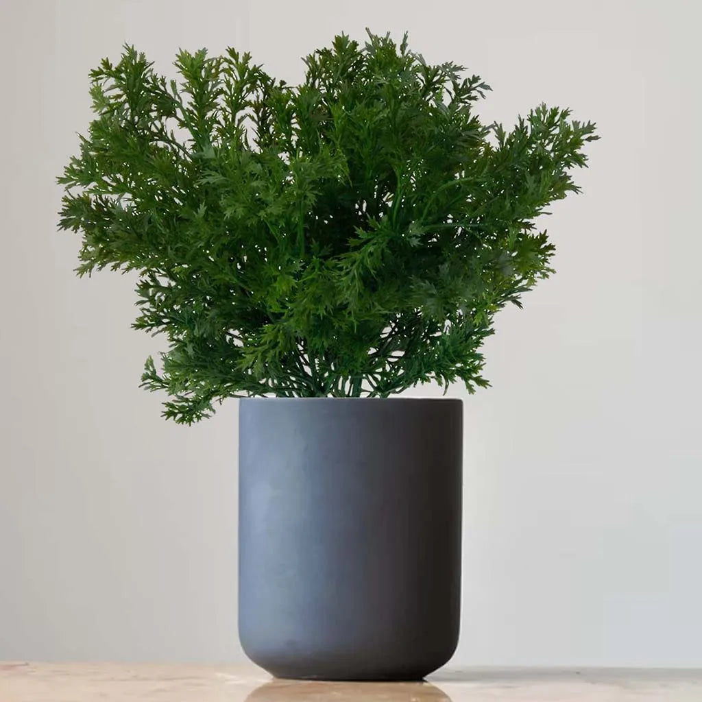Artificial Parsley Grass Potted Flower Decoration - 1,499.00 ZAR